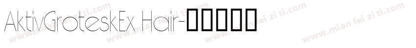 AktivGroteskEx Hair字体转换